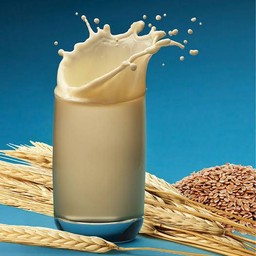 M Malt Milk นมมอลต์