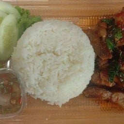 กะเพราหมูชิ้น+ไข่ต้ม