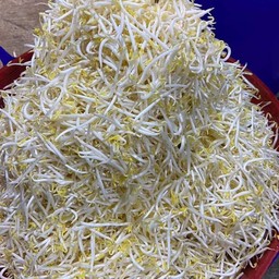 ถั่วงอกลวก