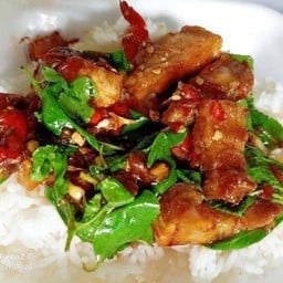 กระเพราหมูกรอบ ราดข้าว