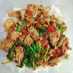 กระเพราเนื้อราดข้าว