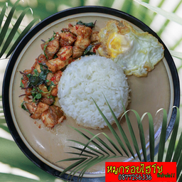ข้าวกระเพราหมูกรอบ