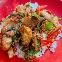 ปลากระพงทอดผัดฉ่า ราดข้าว