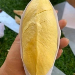 ทุเรียนหมอนทองเกรดพรีเมี่ยม คัดพิเศษ