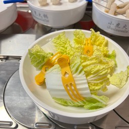 ผักกาดขาว