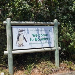 Boulders Beach หาดโบลเดอร์