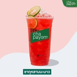 ชาพะยอม นาใน