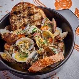 VONGOLE
