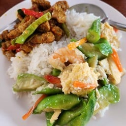 แกงใต้ นายติ้ง สาขา2