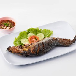ปลาดุกย่าง