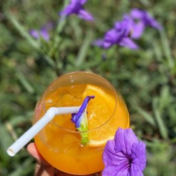 Orange JUICE