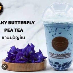 อัญชันนมสด