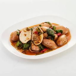 หอยลาย