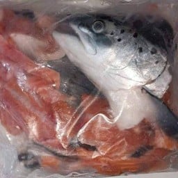 หัวปลาแซลมอนสด+ครีบ ก้าง