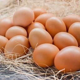 ไข่ไก่
