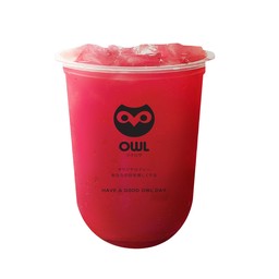 Owl cha เหมืองง่า เหมืองง่า