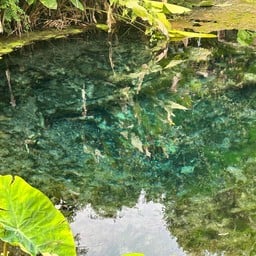 น้ำพุเจ็ดสี