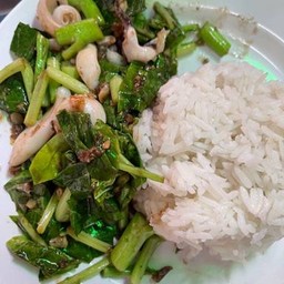 คะน้า ปลาหมึก