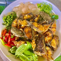 ผัดเผ็ดปลาดุก