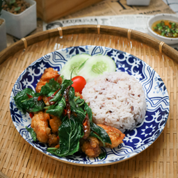 ข้าวกะเพราปลากะพงทอด