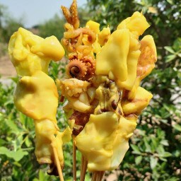 เจ้เปรี้ยว หมึกย่าง