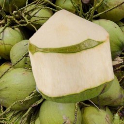 มะพร้าวน้ำหอม แท้เป็นลูก