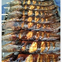 ปลาดุกย่าง