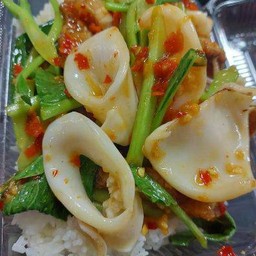 คะน้าปลาหมึก