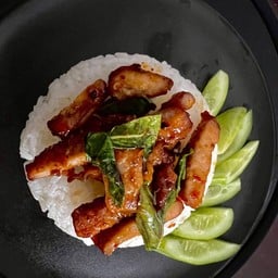 กะเพราคอนโด