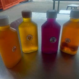 เก๊กฮวย