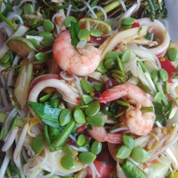 ตำป่า (ทะเล)