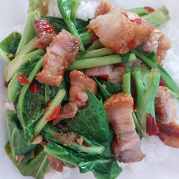 ข้าวราดคะน้าหมูกรอบ