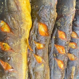 ปลาดุกย่าง