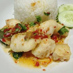 ข้าวหน้าผัดกระเพราปลาดอลลี่