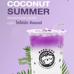 โคโค่นัท ซัมเมอร์