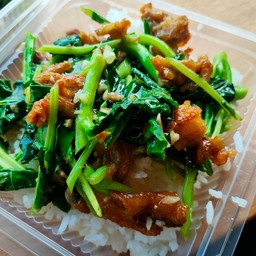 ผัดคะน้า (ราดข้าว)