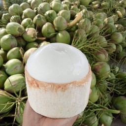 มะพร้าวถอดเสื้อ