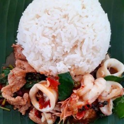 กะเพราริมคลอง