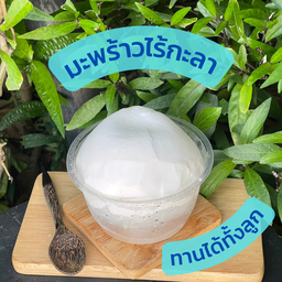 มะพร้าวน้ำหอมไร้กะลา 100% จำนวน 1 ลูก  Naked Coconut  100