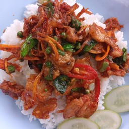 ผัดเผ็ดหมูป่าราดข้าว