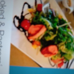 Smoked & Pastrami Duo Duck Salad