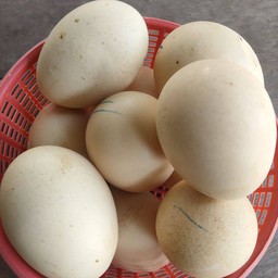 ไข่ข้าวนึ่งร้อนๆ