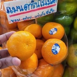 แมนดารินเล็กไร้เมล็ด ไม่ใช่ส้มจีน