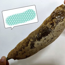 หัวน้ำหวาน