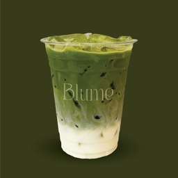 Iced Matcha Latte