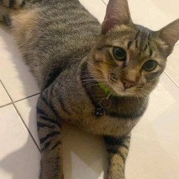 คุณเป๋าตังค์