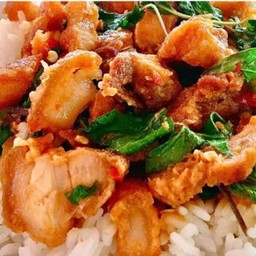 ข้าวกะเพราหมูกรอบ