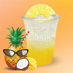 Pina Colada x Soda