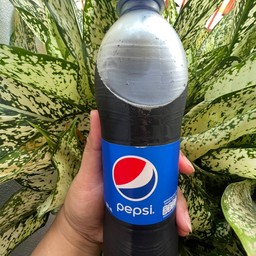 เป็ปซี่ ขนาด 550ml.
