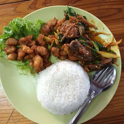 ข้าวจระเข้ทอดเกลือ+ผัดเผ็ดปลาดุก